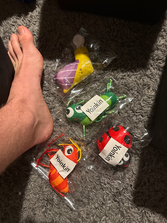 Yoinkin Cat Land Bugs Kickers