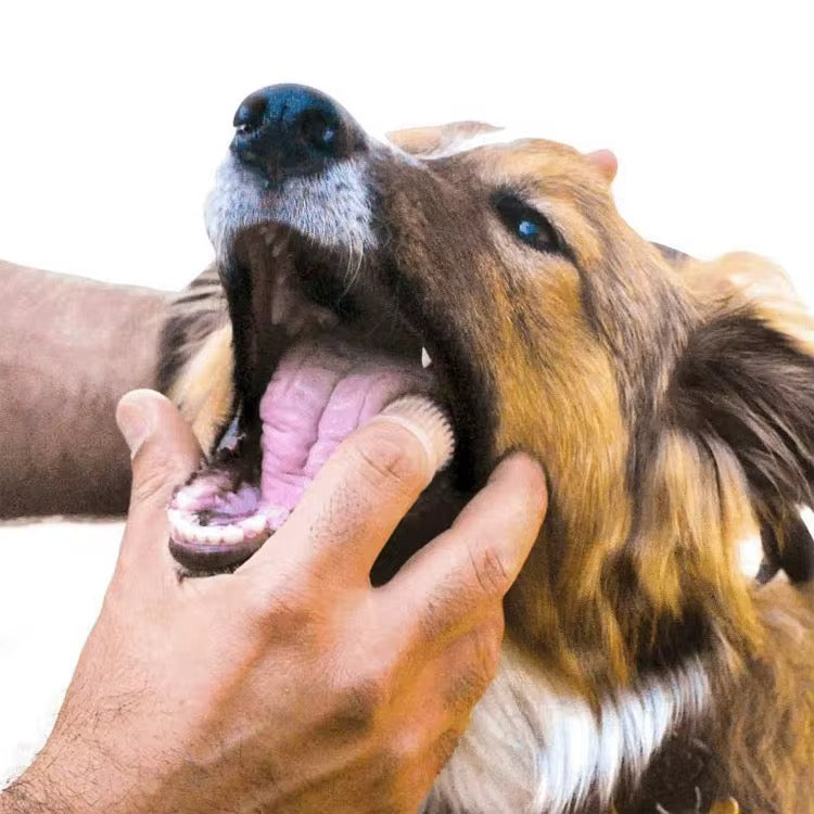 Pet Finger Toothbrush – Gentle Silicone Teeth Cleaner