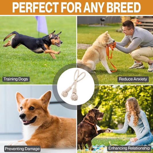 Yoinkin Heavy-Duty Rope Tug Toy