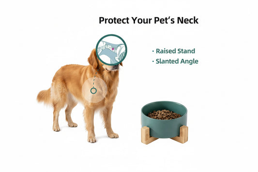 Yoinkin Modern Ceramic Pet Bowl with Bamboo Stand
