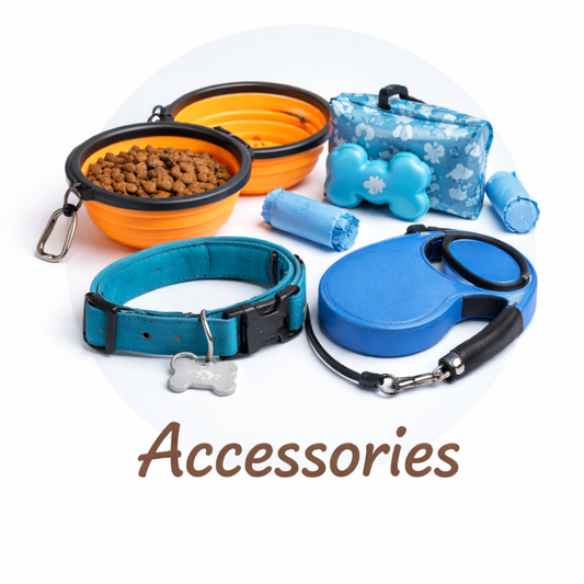 Dog Accessories