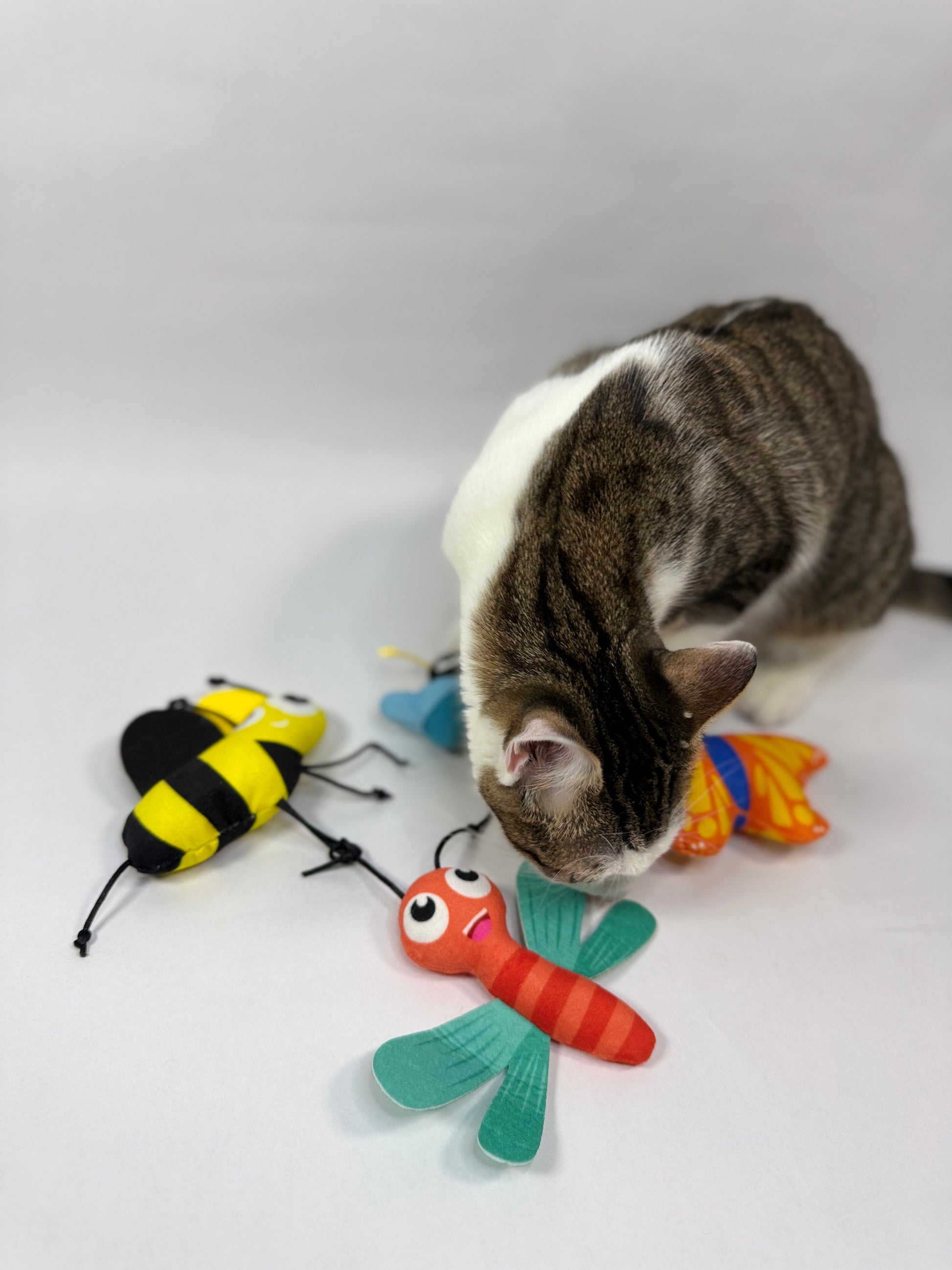 Yoinkin Cat Flying Bugs plush toys