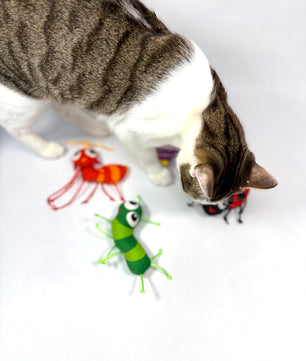 Yoinkin Cat Land Bugs Kickers