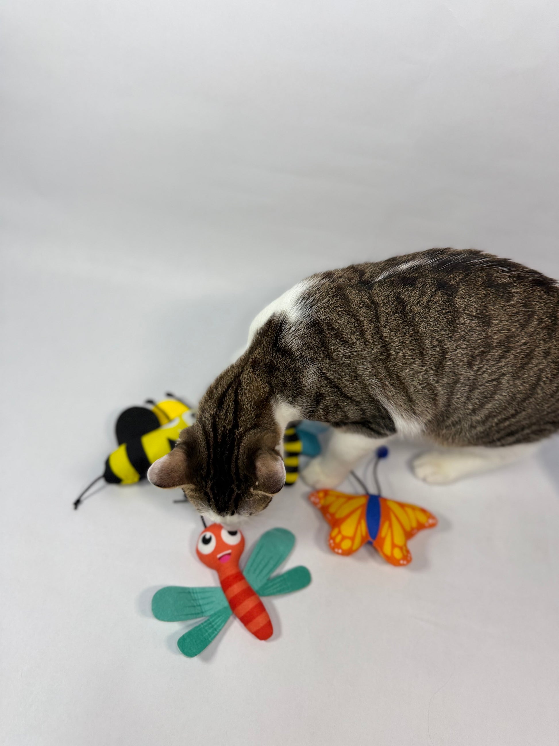 Yoinkin Cat Flying Bugs plush toys