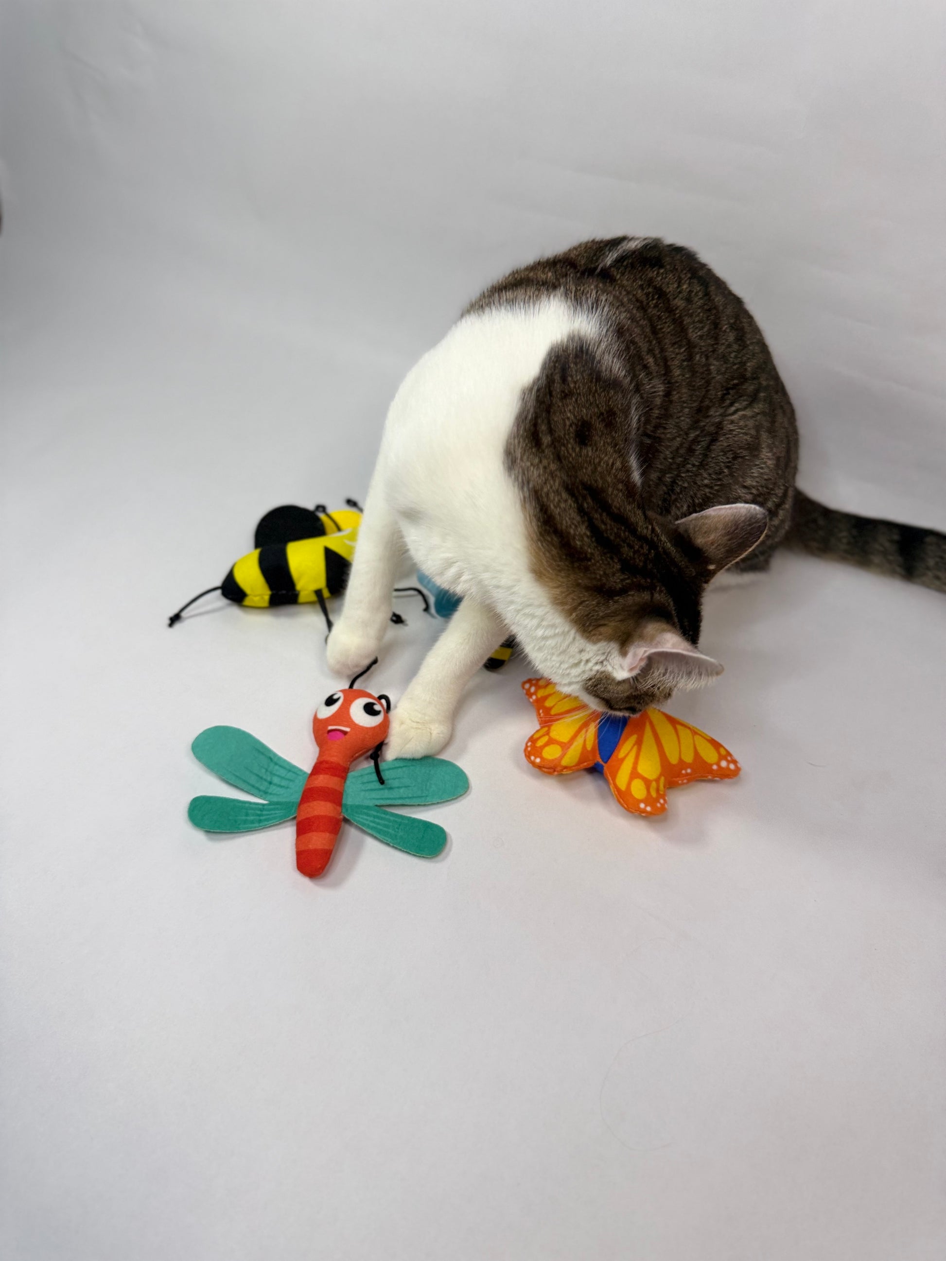 Yoinkin Cat Flying Bugs plush toys