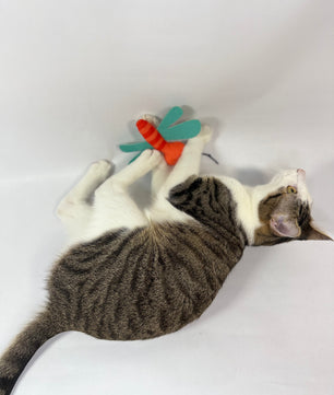 Yoinkin Cat Flying Bugs plush toys