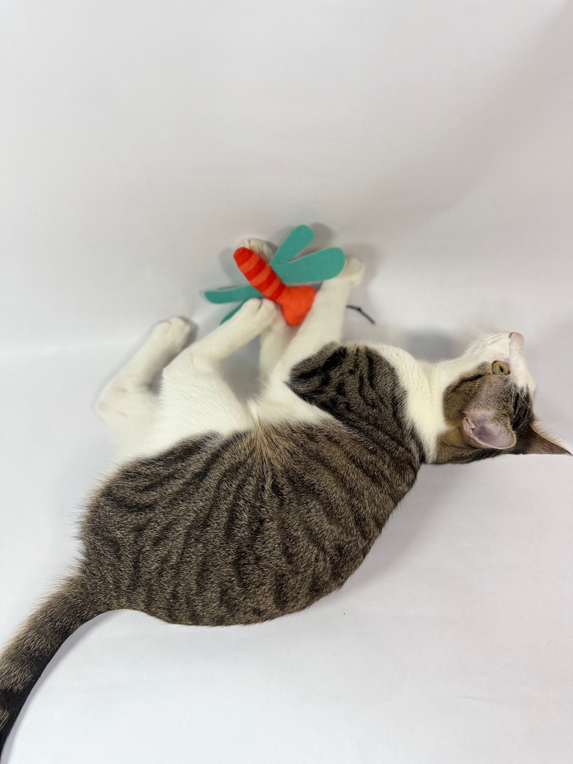 Yoinkin Cat Flying Bugs plush toys