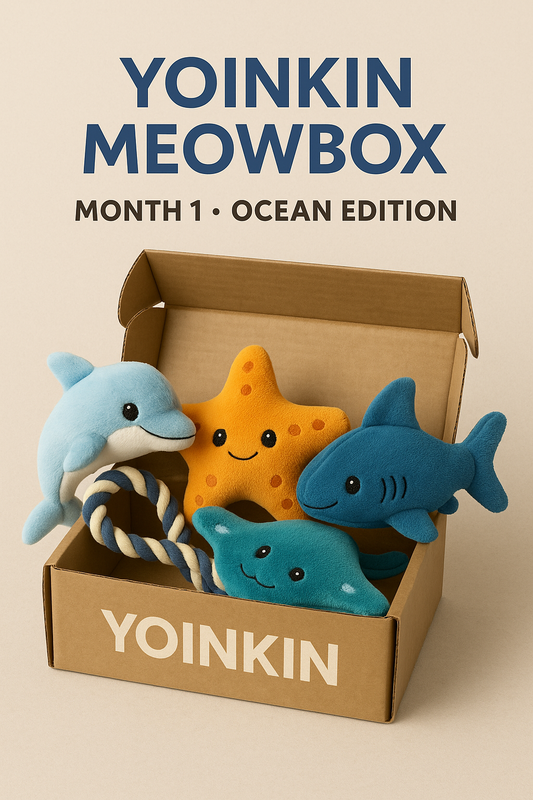 Yoinkin Meow Box
