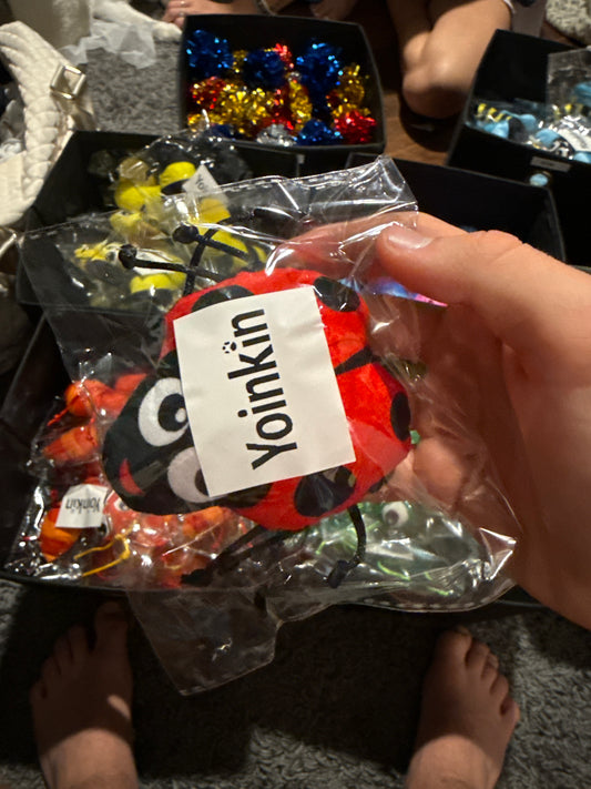 Yoinkin Ladybug Love Cat Kicker Toy