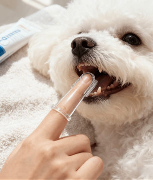 Yoinkin Clear Silicone Finger Toothbrush