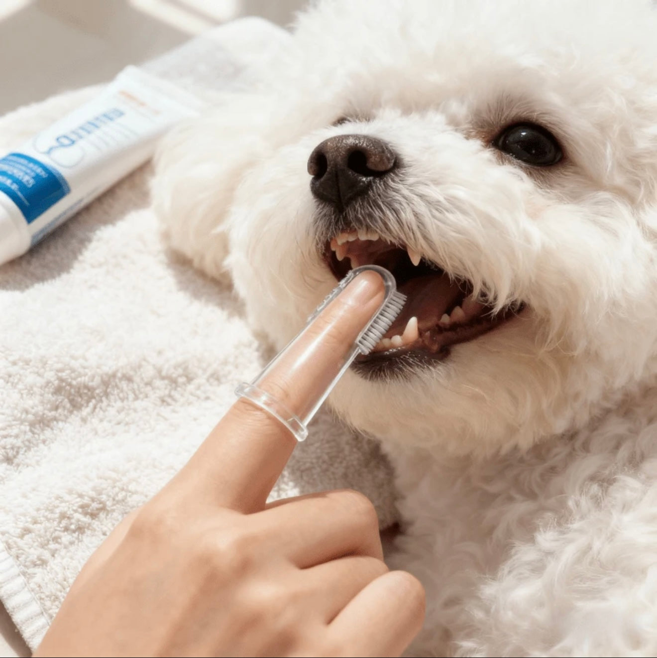 Yoinkin Clear Silicone Finger Toothbrush