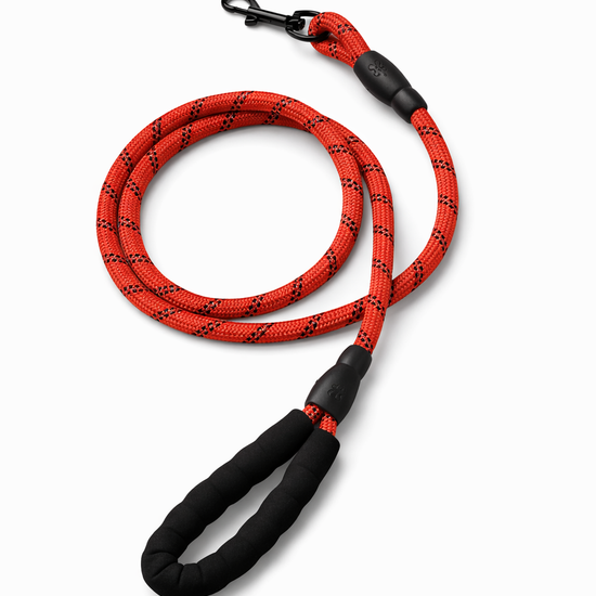 Yoinkin Comfort Grip Rope Dog Leash