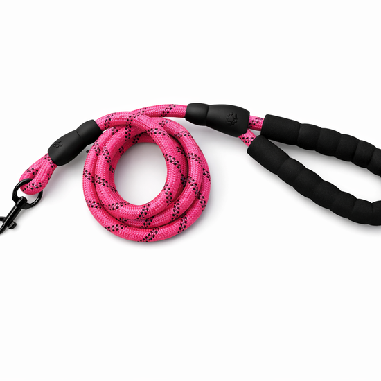 Yoinkin Comfort Grip Rope Dog Leash