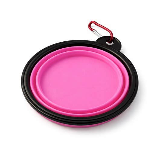 Yoinkin Collapsible Travel Pet Bowl