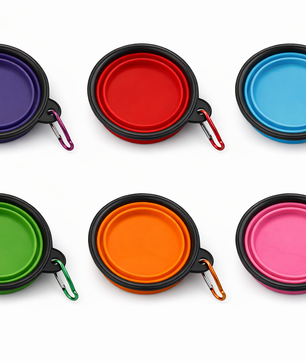 Yoinkin Collapsible Travel Pet Bowl