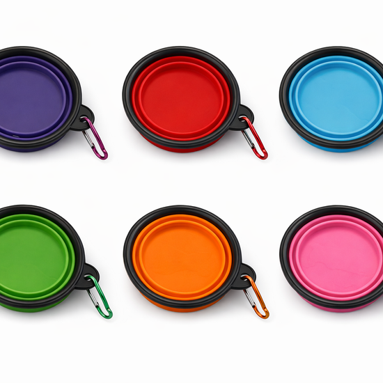 Yoinkin Collapsible Travel Pet Bowl