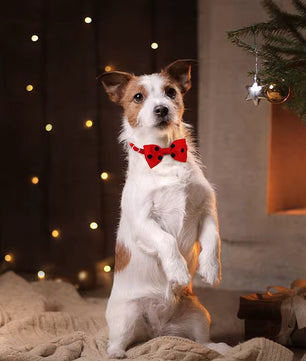 Yoinkin™ Pet Bow Accessory