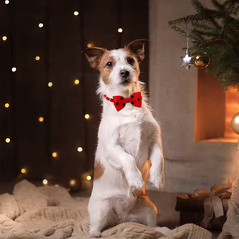 Yoinkin™ Pet Bow Accessory