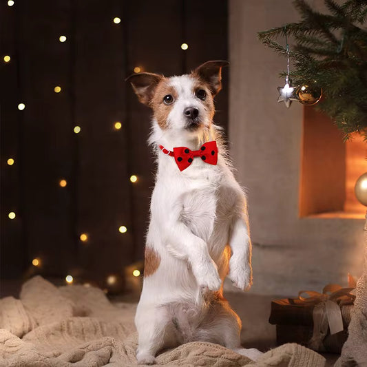 Yoinkin™ Pet Bow Accessory