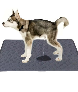 Yoinkin Washable Dog Training Pad