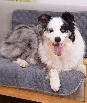 Yoinkin Washable Dog Training Pad