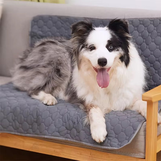 Yoinkin Washable Dog Training Pad