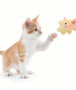 Yoinkin Plush Monster Cat Toy + Value Pack