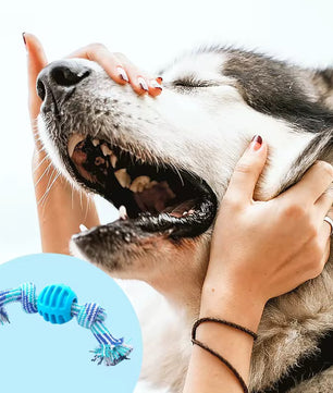 Yoinkin Rope Ball Chew Toy