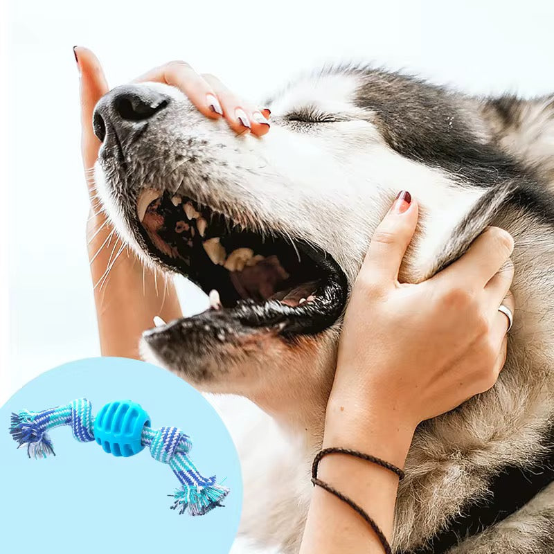 Yoinkin Rope Ball Chew Toy