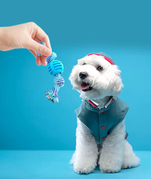 Yoinkin Rope Ball Chew Toy