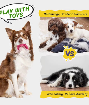 Yoinkin Squeaky No Fluff Animal Toy