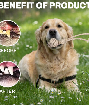 Yoinkin Heavy-Duty Rope Tug Toy