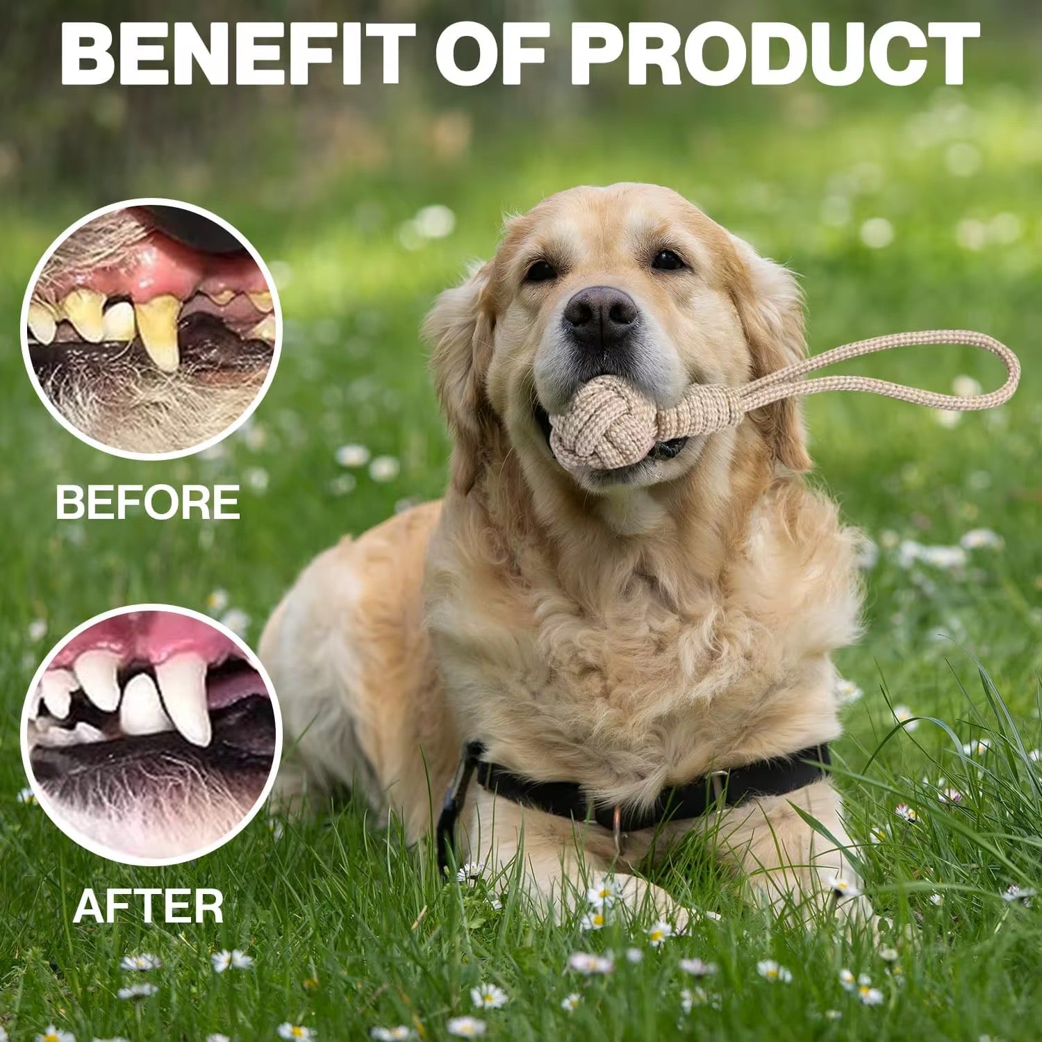 Yoinkin Heavy-Duty Rope Tug Toy