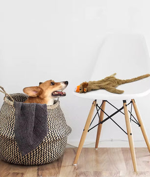 Yoinkin Wild Squeaky Plush Toy