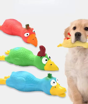 Yoinkin Squeaky Colorful Chicken