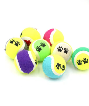 Yoinkin ColorPaw Tennis Balls