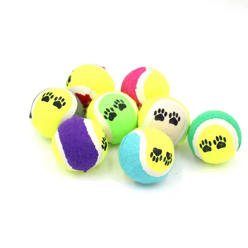 Yoinkin ColorPaw Tennis Balls