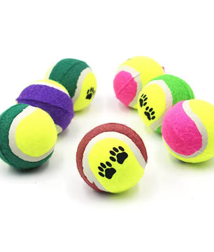 Yoinkin ColorPaw Tennis Balls