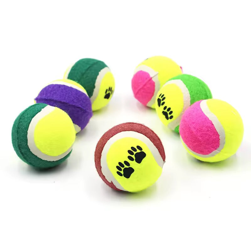 Yoinkin ColorPaw Tennis Balls