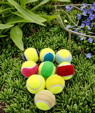 Yoinkin ColorPaw Tennis Balls