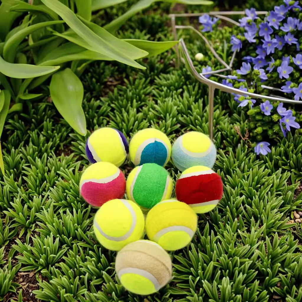 Yoinkin ColorPaw Tennis Balls