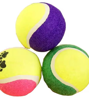 Yoinkin ColorPaw Tennis Balls