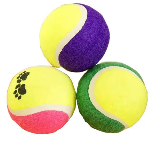 Yoinkin ColorPaw Tennis Balls