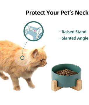 Yoinkin™ Modern Ceramic Pet Bowl with Bamboo Stand