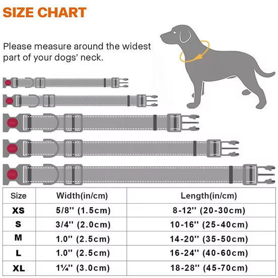Yoinkin Reflective Adjustable Pet Collar – Soft Nylon Safety Collar