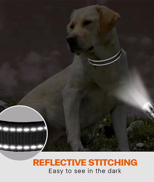 Yoinkin™ Reflective Adjustable Pet Collar – Soft Nylon Safety Collar